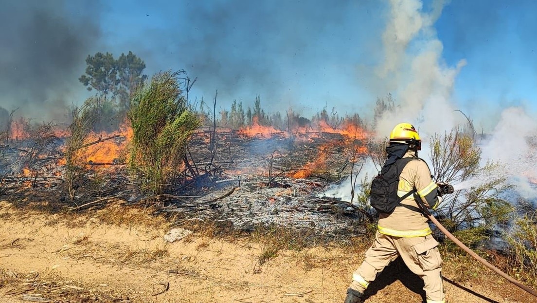 Les incendies de forêt au Chili font au moins 24 morts et des milliers d'hectares de forêt détruits