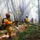 Ils maintiennent une situation d'urgence en raison des incendies de forêt au Chili