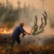 Chile maintains emergency in regions affected by forest fires