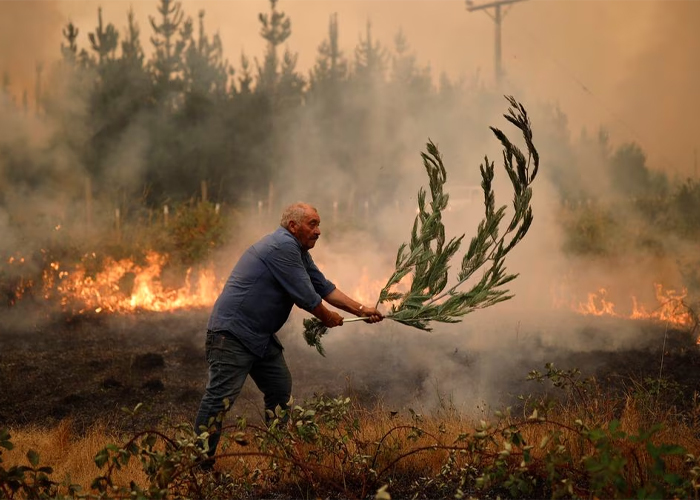 Chile maintains emergency in regions affected by forest fires