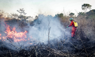 Protección Civil mantiene alerta verde a escala nacional por el incremento de incendios forestales