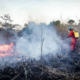 Protección Civil mantiene alerta verde a escala nacional por el incremento de incendios forestales