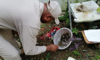 Aumenta preocupación por brote de dengue en Panamá con 6,002 casos reportados