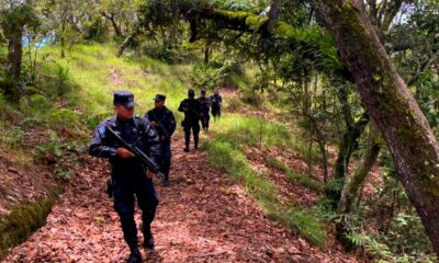 El Salvador suma otro día sin homicidios, acumulando un total de 442 en la gestión de Nayib Bukele