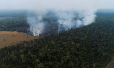 Deforestation in the Brazilian Amazon drops to 22.3%.