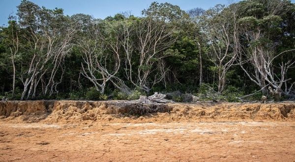 Les ministres des affaires étrangères des pays amazoniens s'unissent contre la crise climatique